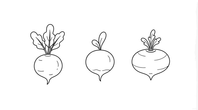 Artistic Hand Drawn Doodle Sketch Vector Illustration of Various Organic Root Vegetables Set Isolated on Pure White Background for Culinary Design Projects
