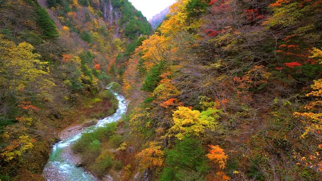 紅葉の渓谷