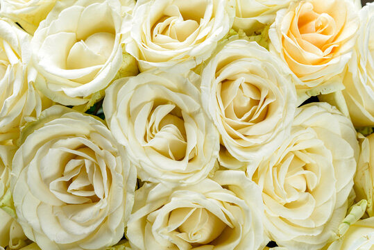 wedding bouquet of roses