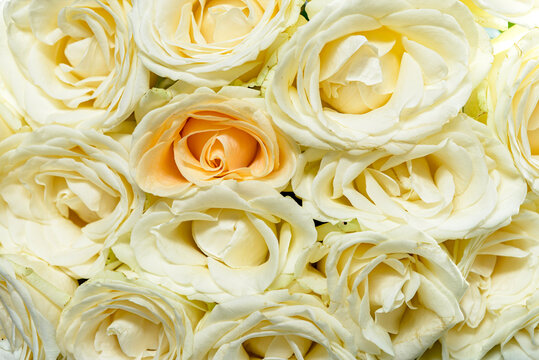 wedding bouquet of roses