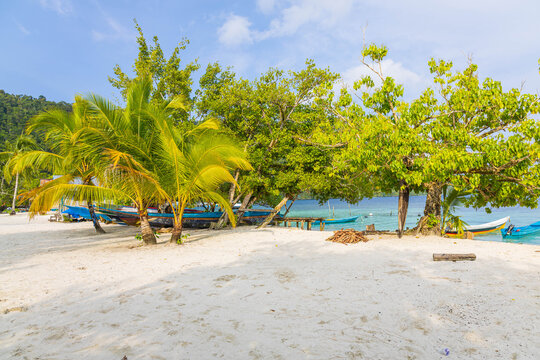 The beach scene with boat under palm tree