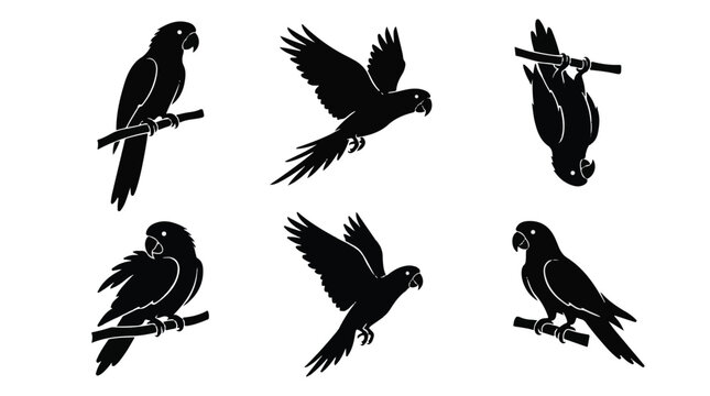 A set of six parrot bird in various poses silhouette vector icon illustrations on a white background
