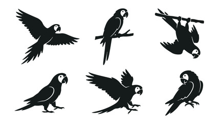 Fototapeta premium A set of six parrot bird in various poses silhouette vector icon illustrations on a white background 