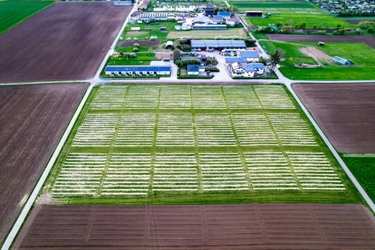 Aerial view of a farm complex surrounded by geometric agricultural fields with rows of crops and dark soil near Edingen-Neckarhausen, Mannheim, Baden-Wurttemberg, Germany.