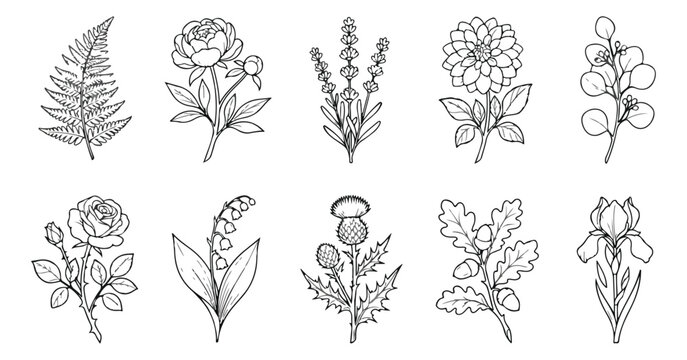 Vintage botanical line art collection, 10 hand drawn floral vector illustrations, elegant black and white garden flowers and wild plants for wedding stationery