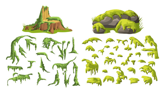Marsh moss. Green jungle plants. Forest lichens. Microgreens and fragments of various shapes covering surface. Overgrown stone and tree stump. Swamp greenery. Mossy elements vector set