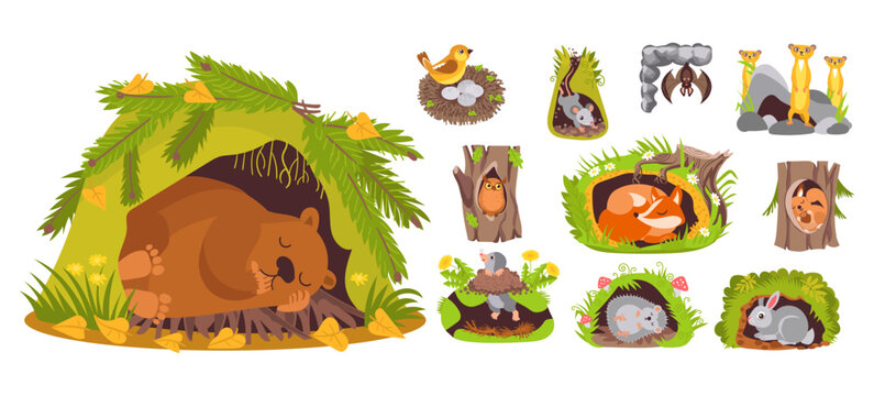 Cute animals in burrows. Cartoon forest mammals sleeping in their holes. Owl or bat in hollow tree. Ground squirrels and bears dream in dens. Funny characters vector set from fauna world