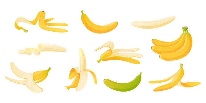 Cartoon banana. Bunch, whole tropical fruit and slices. Yellow peel. Ripe and unripe. Food waste. Dietary product. Recycling litter. Slipping on husk. Plant shells isolated vector set