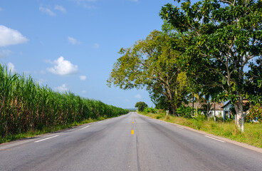 Obraz premium Highway Through Sugarcane Fields in Sapé, Paraíba, Brazil on September 1, 2005