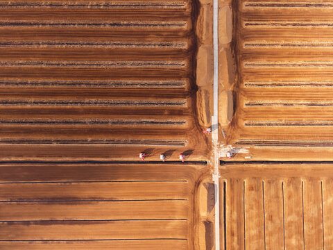 Aerial view of Kaigu Bog Nature Reserve showing the geometric patterns of peat extraction fields with dark brown soil and narrow drainage channels in Kaigu ciems, Jelgavas novads, Latvia.