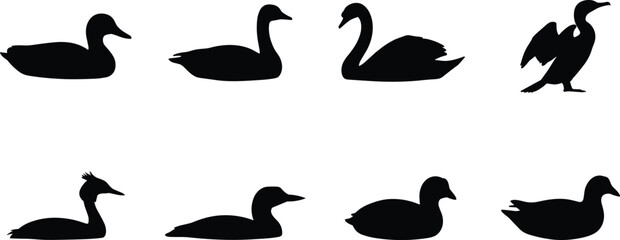Black Silhouette Collection of Waterfowl Birds Including Ducks, Geese, and Swan © MstMamena