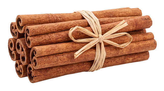 Aromatic cinnamon sticks tied with twine, organic brown spice bundle for baking, natural dried cinnamon bark rolls for culinary seasoning isolated on White Background