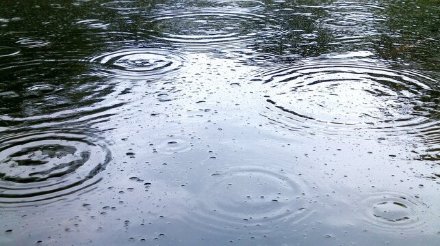 Soft rain drops creating tiny craters and gentle ripples on calm silvery water surface, showing peaceful summer shower atmosphere, natural texture, reflection and tranquil pond concept