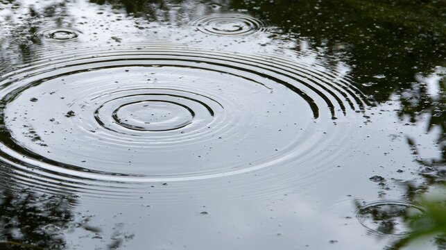Soft rain drops creating tiny craters and gentle ripples on calm silvery water surface, showing peaceful summer shower atmosphere, natural texture, reflection and tranquil pond concept