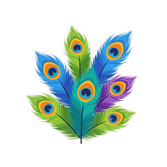 Obraz premium A vibrant collection of colorful bird feathers arranged in a fan shape