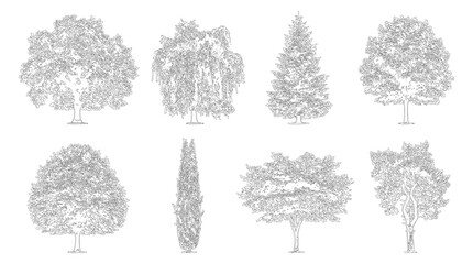 Set of tree elevation silhouettes. Isolated black tree icons for architectural design. © ArifulHaq