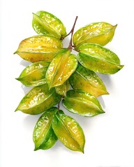 Fototapeta premium Watercolor Illustration of Starfruit.