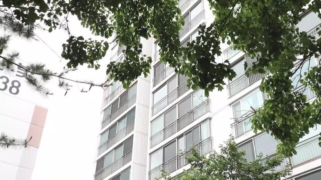 나무 잎사귀 사이로 보이는 아파트 단지와 건물 외관을 올려다보며 촬영한 야외 풍경입니다.