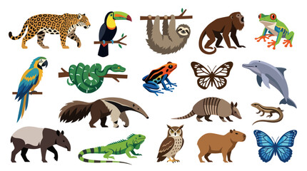 Naklejka premium Wildlife: Flat Vector Illustration Set of South American Rainforest Animals. Diverse Tropical Fauna Collection.