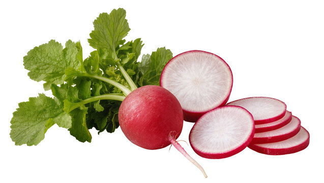 Whole and sliced red radishes with green leaves, isolated on transparent background