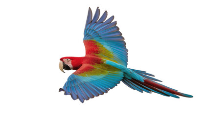 Vibrant red yellow and blue macaw parrot in flight, isolated on transparent background © Luca