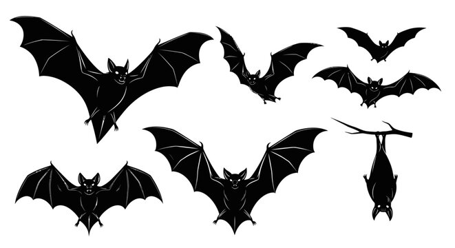 Black bat silhouettes collection, 7 flying and hanging bat vector elements, spooky halloween animal icons, dark gothic nocturnal wildlife graphics