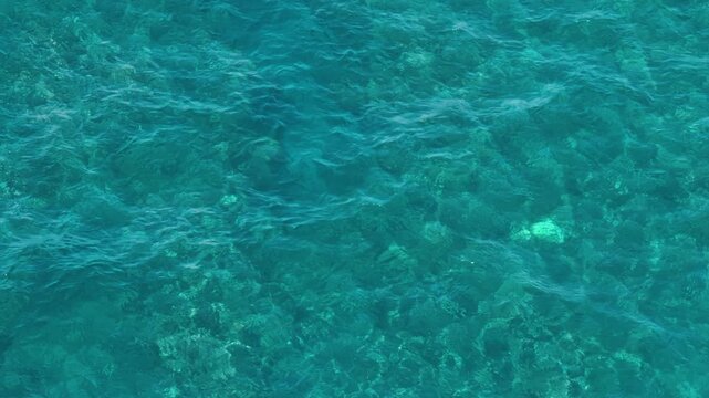 Vibrant Turquoise Ocean Surface with Sunlight Reflections