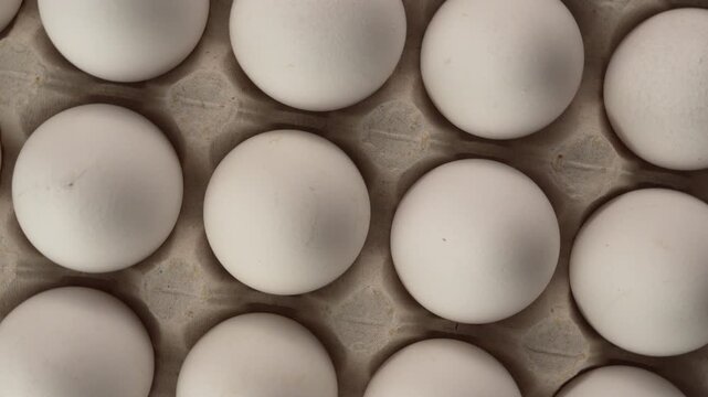 Top view of Fresh White Eggs in a Cardboard Carton Rotating Around