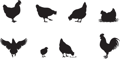 hen chicken silhouette set. silhouette vector illustration © MstMoushumi