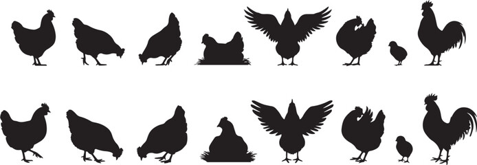 hen chicken silhouette set. silhouette vector illustration © MstMoushumi