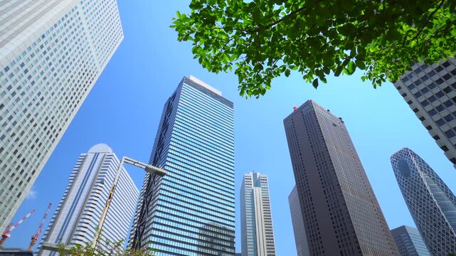 新緑と新宿高層ビル