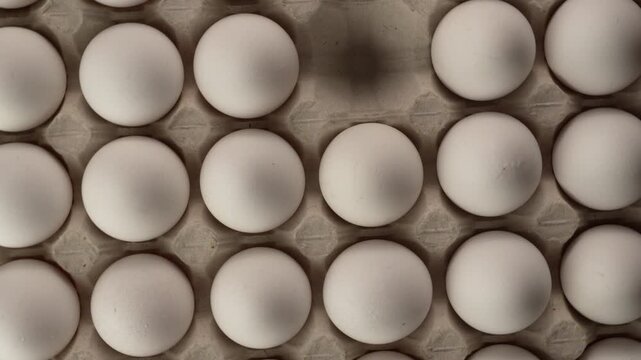 Male hand take-out Fresh White Eggs from Cardboard Carton.