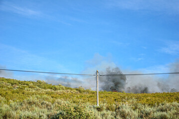 Fototapeta premium Wildfire smoke over green hillside The Concept of natural disaster
