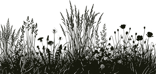 Obraz premium Grass, silhouette, vector, illustration, panoramic, botanical, meadow, wildflowers, poppies, dandelions, clover, plants, weeds, summer, field, nature, background, border, pattern, isolated, design, 