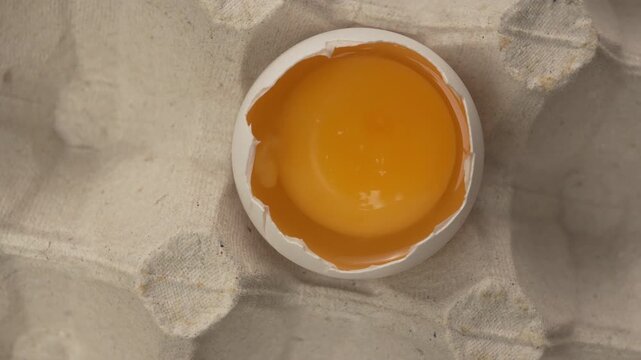 Close-up of raw chicken one egg cracked showing the yolk in egg cardboard box