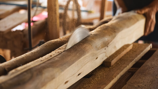 Bandsaw blade cutting fresh timber log at traditional sawmill workshop