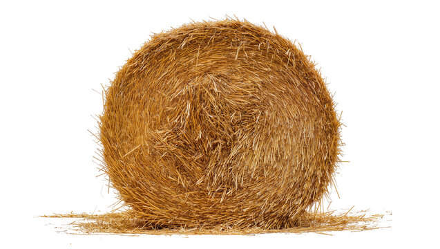 Round golden hay bale with loose straw scattered on the ground, isolated on transparent background