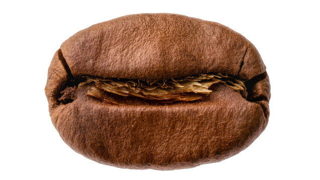 Single roasted arabica coffee bean with deep fissure, isolated on transparent background