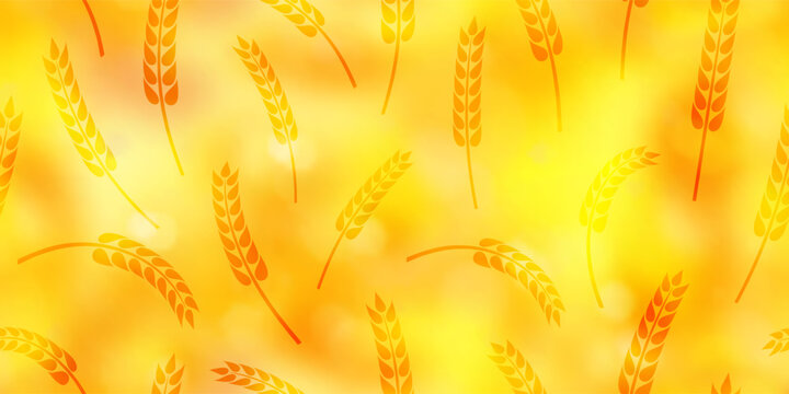 Seamless floral pattern of wheat ears, rye or barley, agriculture and harvest, agricultural banner, vector print
