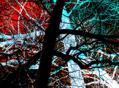 Stylized abstract illustration of tree branches with high contrast colors. Modern graphic artwork.