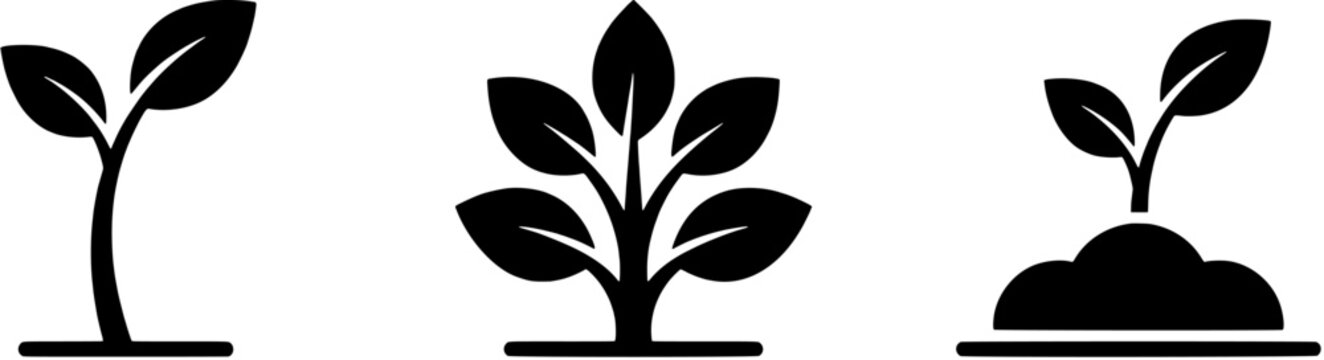 Sprout and plant icon set in a flat black silhouette style including seedling, sapling and young plant in soil.