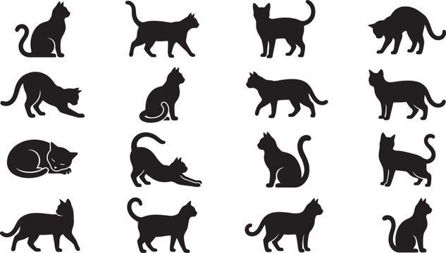 Set of Black Cat Silhouettes Vector Collection with Domestic and Wild Animal Pet Icons and Mammal Shapes for Nature Design Illustration