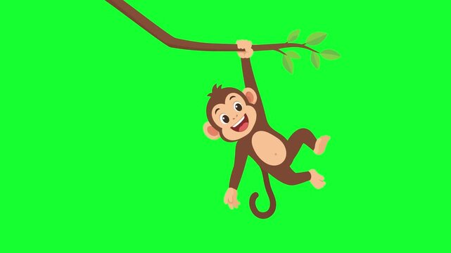 Cute cartoon monkey swinging on tree branch loop on green screen and white background for kids education, jungle animal, and animation asset.