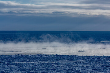 Naklejka premium Drifting sea ice on the Okhotsk Sea in Hokkaido with white steam rising from frozen waters