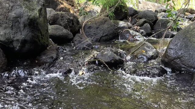 Clear Stream Flowing Over Rocks: A tranquil stream flows gently over moss-covered rocks, surrounded by lush green foliage, creating a serene natural landscape.