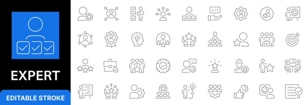 Expertise and professional competence line icon set. Business expert, specialist qualification, skill assessment and certificate approval outline symbols. Editable stroke.