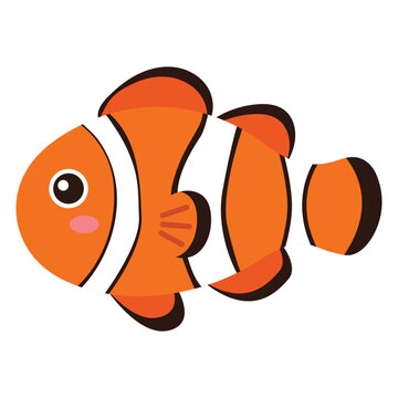 vector illustration of a clownfish