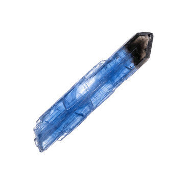 Raw blue kyanite crystal blade with dark smoky tip and translucent luster, isolated on transparent background as a versatile mineral design element.
