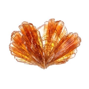 Raw orange kyanite fan crystal specimen with translucent amber color and radiating fibrous blades, isolated on transparent background as an abstract design asset.