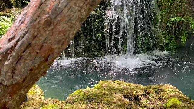 Waterfall in tropical garden